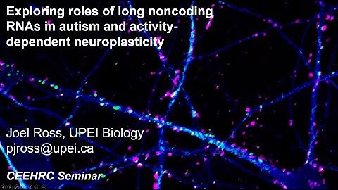 Long Noncoding RNA (27 May 2022)