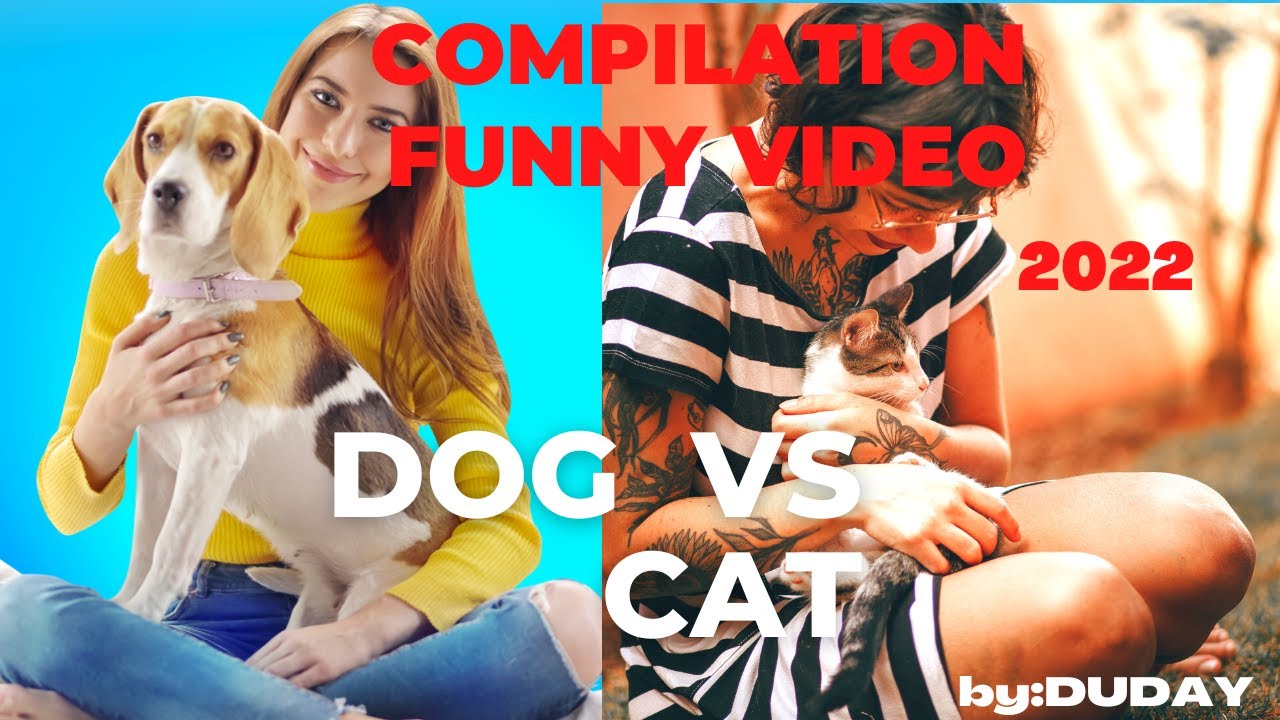 Compilation Funny Video 2022 Dog vs Cat Lovely and Adorable Animals