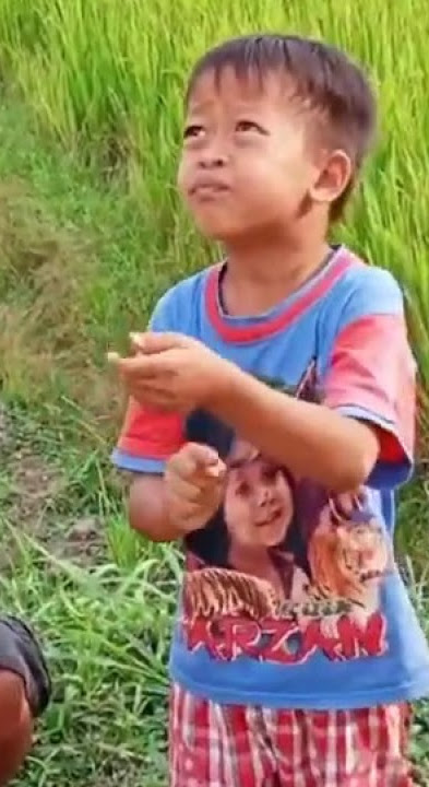 Story wa Layangan Putus
