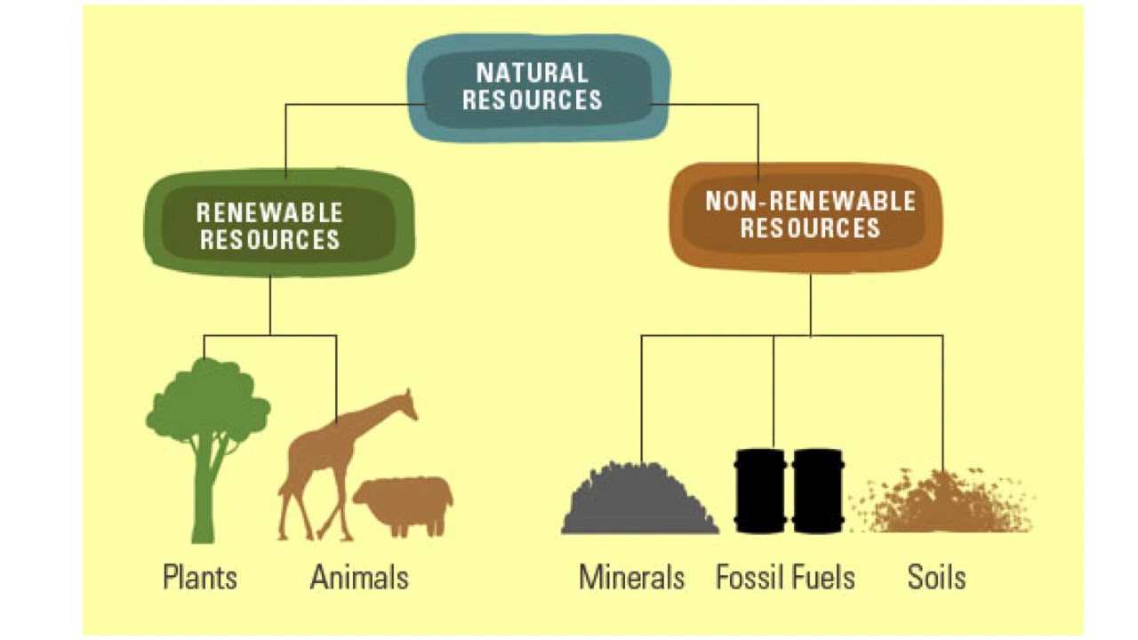 Natural resource use. Types of natural resources. Renewable natural resources. Природные ресурсы вектор. Natural resources are.