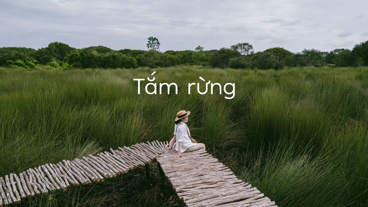 Tắm Rừng (Shinrin-yoku) ở Long An - YouTube