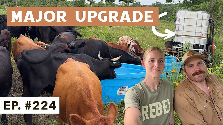 Wir haben es endlich repariert! Neues Wassersystem auf der Ranch