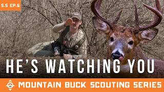 Why This Buck Knows You're Coming | Mountain Buck Scouting Series
