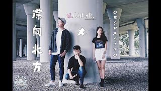 《漂向北方 x DESPACITO》【黃明志Namewee ft.王力宏 x Luis Fonsi ft. Justin Bieber】 MASHUP Cover (theColdCutDuo 翻唱)