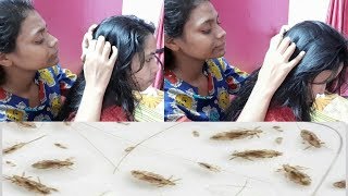 Nitpicking Traditional Head lice picking nit long hairs nitpcting by hand with two sisters