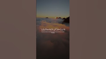 Surah An-Nisa 129-130 سورة النساء      #quraniv #quran