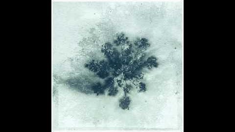 Simeon Walker - Letters