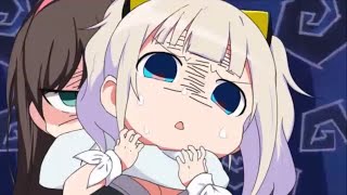 シロイルカvlip Lv