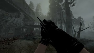 All animations for the weapons in my mod list.