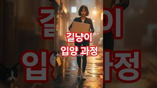 폭우 속 유기묘 구조, 내 삶을 바꾼 모찌 이야기 #길냥이구조 #길냥이 #길냥이입양 #유기묘 #유기묘입양 #반려묘 #고양이쇼츠 #반려묘쇼츠 #개냥이 #쇼츠 #쇼츠드라마