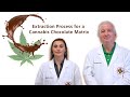 Extraction Process for a Cannabis Chocolate Matrix