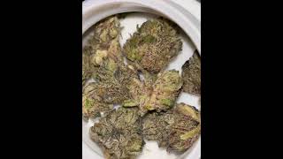710 labs - Tupac Pure Kush