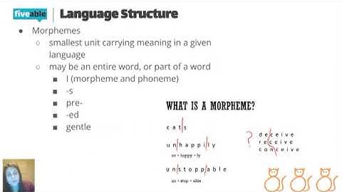 AP Psych Unit 7: Language Structure
