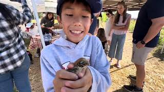 SunShine’s Farm Pumpkin Patch Fresno CA 2024