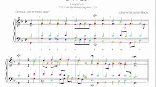 Bach Chorale BWV 281 Harmonic analysis with colored notes -Christus, der ist mein Leben-