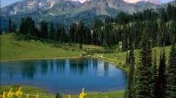 سورة النور برواية شعبة