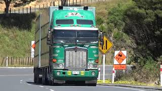 Will Bishop Trucks New Zealand Climbing the Kaimai Ranges