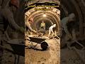 Building a Secret Underground Survival Tunnel🏕🪵..|#shorts #viral #song #home #trending #funny #short