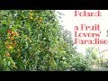 Poland is Simply a Fruit Lovers' Paradise! : Episode 17