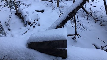 Nesting Marten Box set up locations