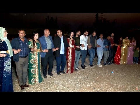 Silopi Düğünleri Jiriki