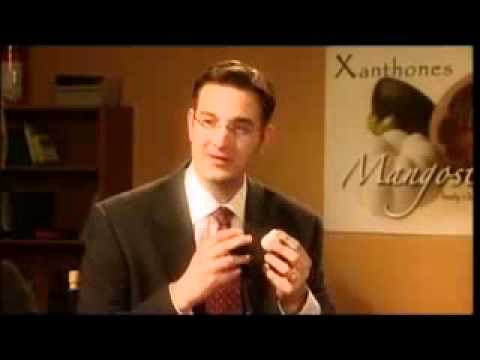 Mangosteen   The Folklore    The X Factor   YouTube