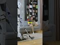 Robotics Revolution 2025: Humans Redefined!