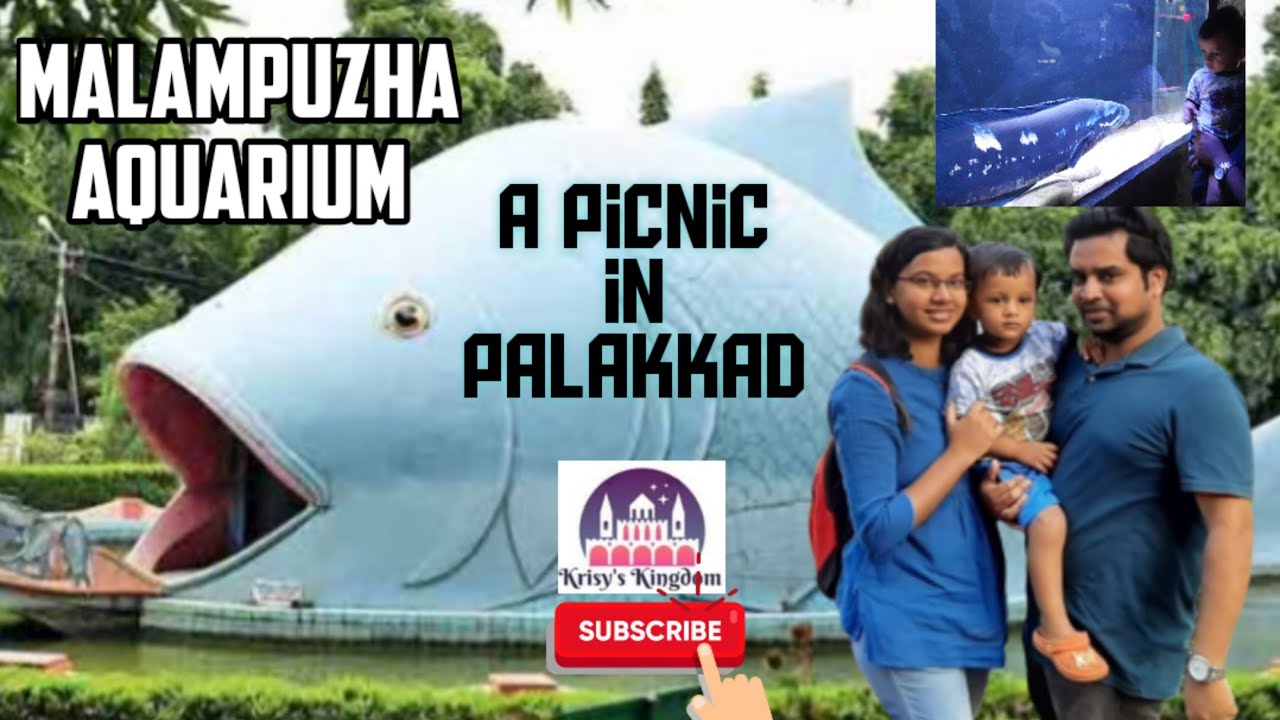 Fish Aquarium Malampuzha, Palakkad Relaxing Video Calming YouTube