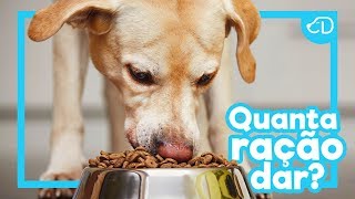 Quanta RAÇÃO dar para meu CÃO?! #Dogueiros #RacaoNatural