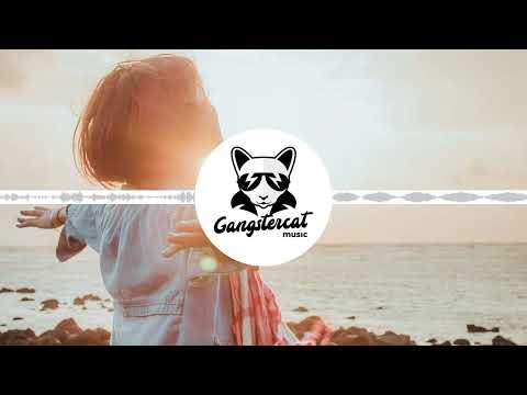 Tobu Luke Bergs Heroes Melodic House No Copyright Music