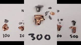 (6.5 CM) Nosler 120gr Ballistic Tip Expansion Test