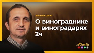 О винограднике и виноградарях 2ч