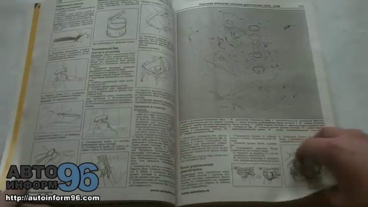 Книга сузуки эскудо