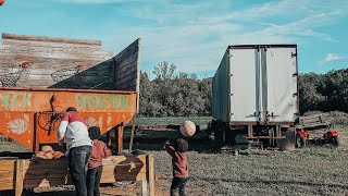 PUMPKIN PATCH - fall family adventures 