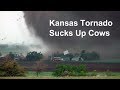 Kansas tornado sucks up cows and blows farm apart - YouTube