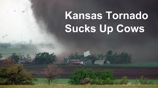 Kansas tornado sucks up cows and blows farm apart 