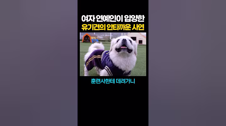 여자 연예인이 입양한 유기견의 안타까운 사연