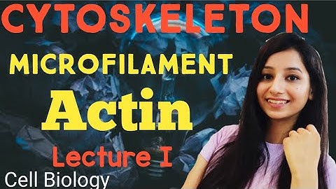 Cytoskeleton |MICROFILAMENT|Actin Filament PART I|Cell Biology Lecture series|Csirnet|Gate|IITJAM|