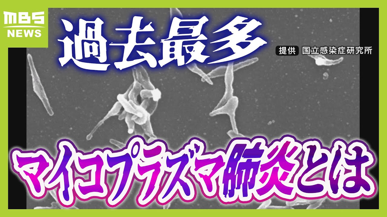 【マイコプラズマ肺炎って？】８年ぶり感染拡大で『過去最多』...症状消えても感染力あり「歩く肺炎」とも　実は「うがい」はあまり予防効果なし！？（2024年10月9日）