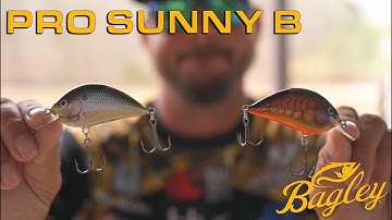 Pro Sunny B with Drew Benton