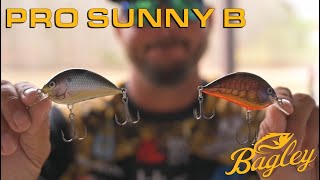 Pro Sunny B with Drew Benton