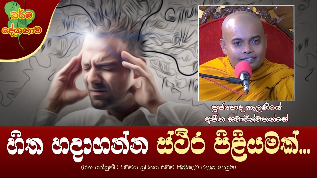 Ven Kelaniye Ajitha Thero | 2022-11-08 | 06:30 AM (හිත හදාගන්න ස්ථීර පිළියමක්...)