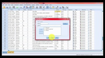 Sample data entry in spss ||Sample 3 Part 3||