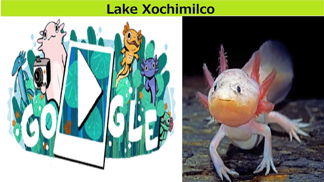 Celebrating Lake Xochimilco Doodle - Google Doodles
