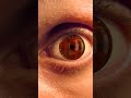 Super Realistic Mangekyou Sharingan In REAL LIFE Uchiha Itachi Animated Iris No 2D Overlay 
