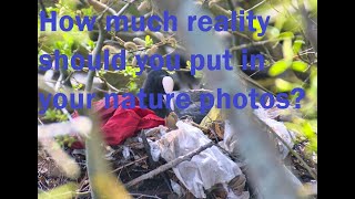 Ethics in nature photography part 2: How much reality should you put into your pictures?