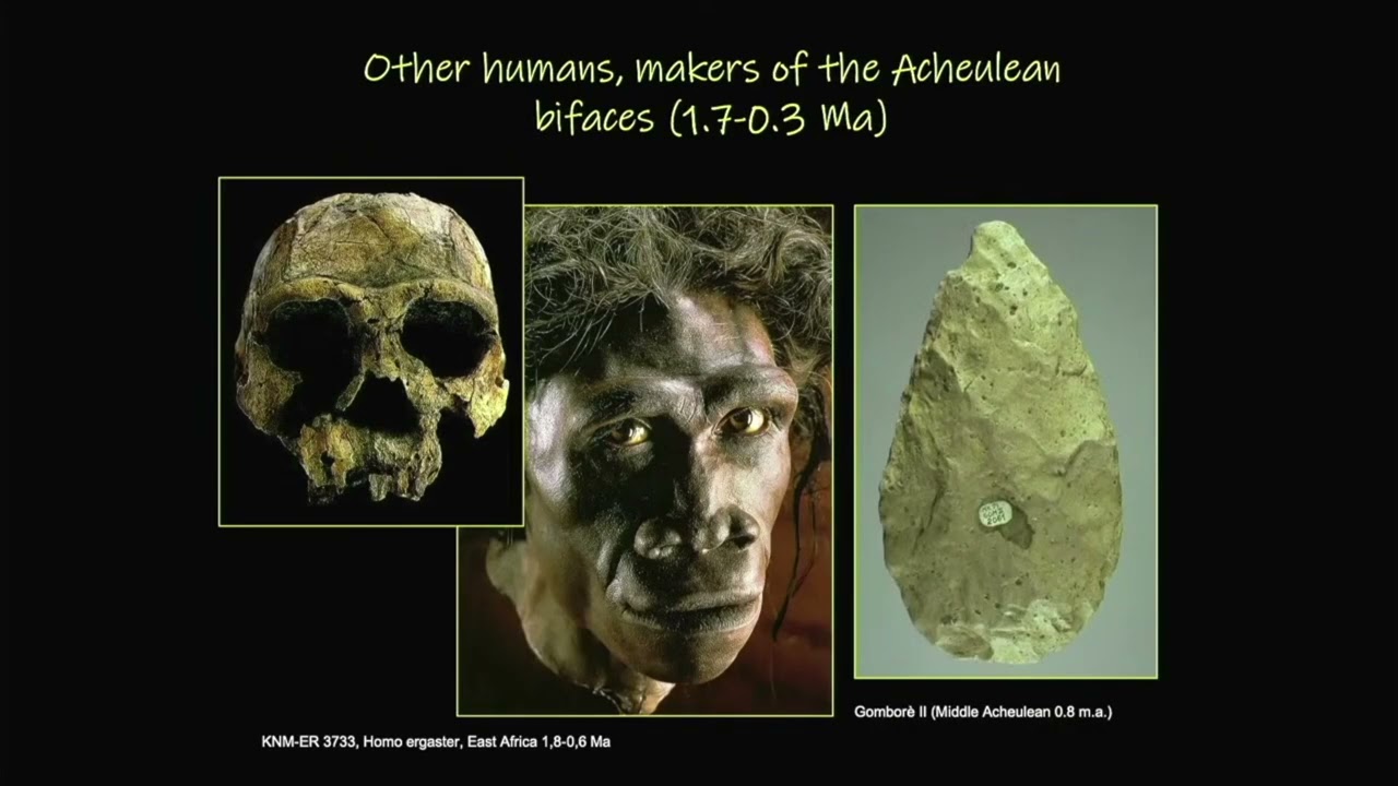 Le tappe culturali dell’ominazione