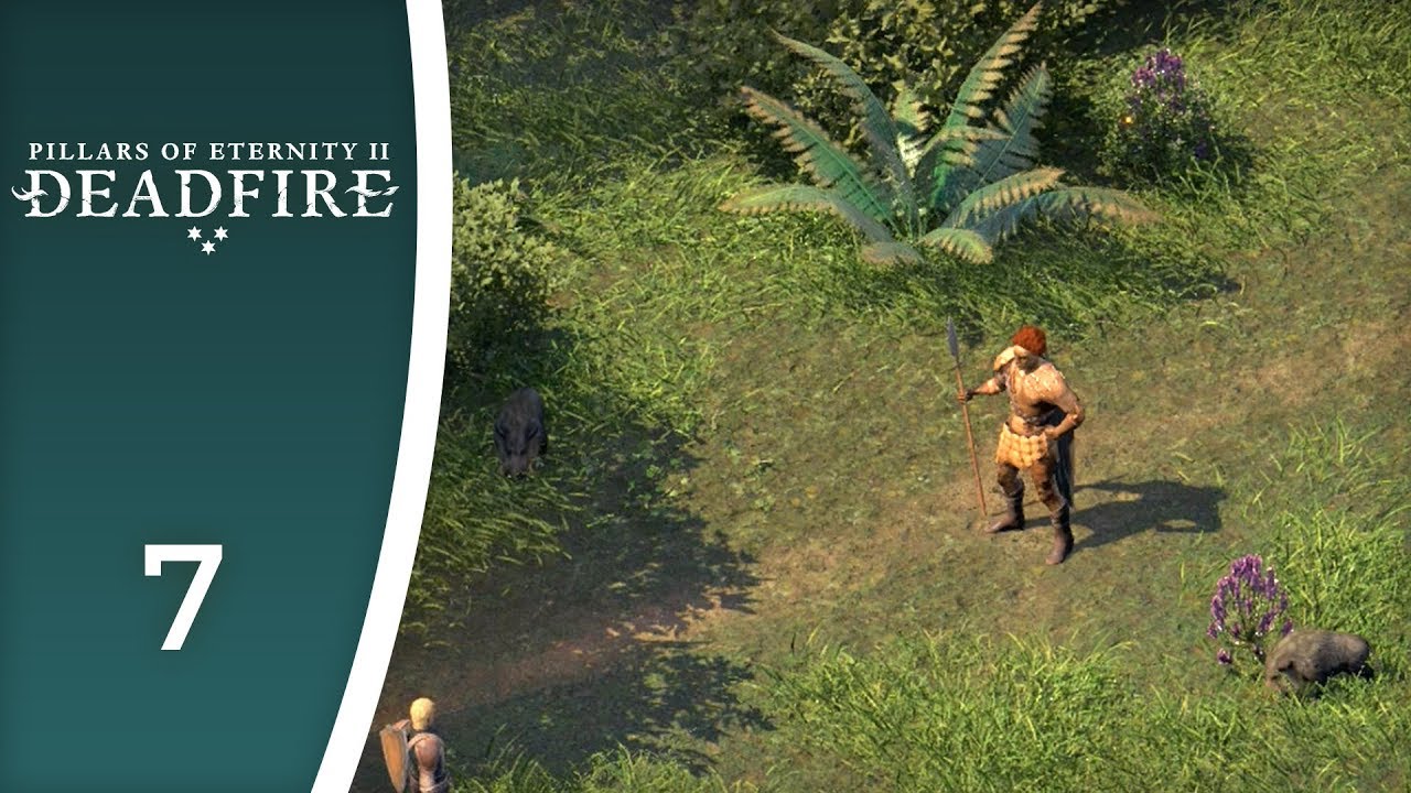 An old druid an (not) his boars Let's Play Pillars of Eternity II