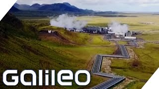A Banana Plantation in Iceland How Is That Possible | Galileo | ProSieben