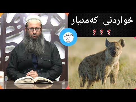 خواردنى گۆشتى كەمتيار م صلاح الدين عبدالكريم 